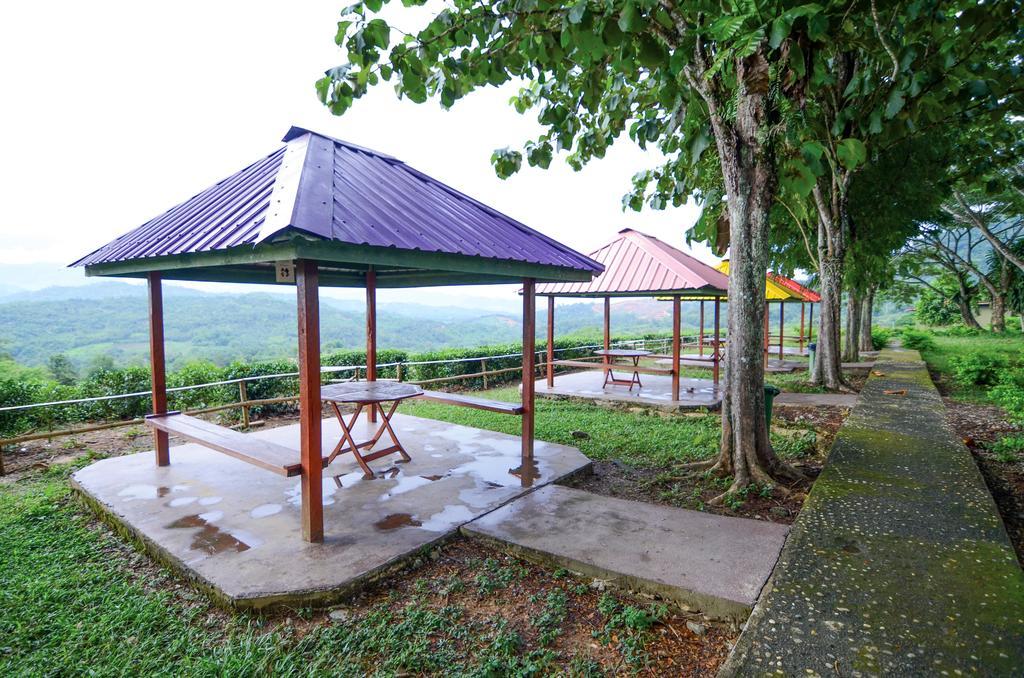 Sabah Tea Resort Ranau Exterior foto