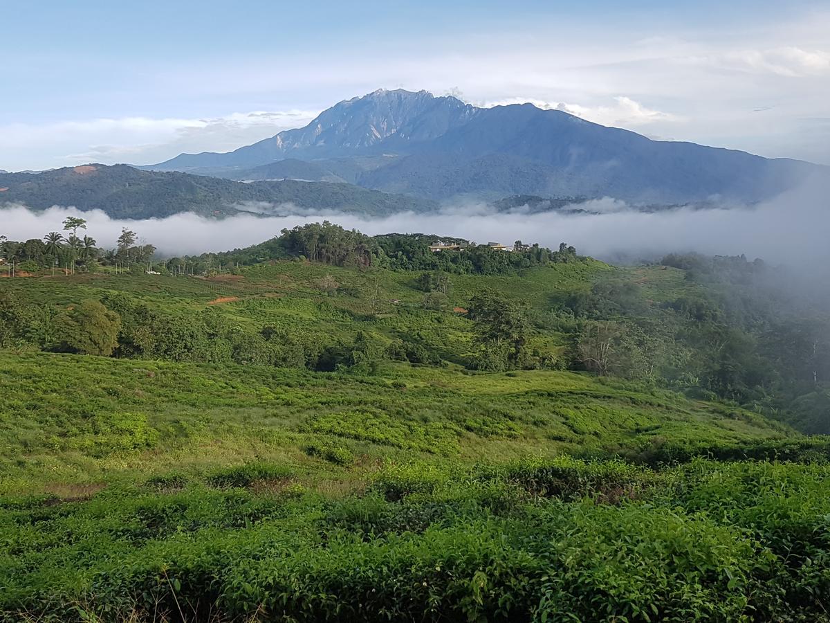 Sabah Tea Resort Ranau Exterior foto